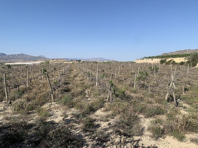 Ubebygd land til salgs i Monforte del Cid - € 65 000 (Ref: 9794016)