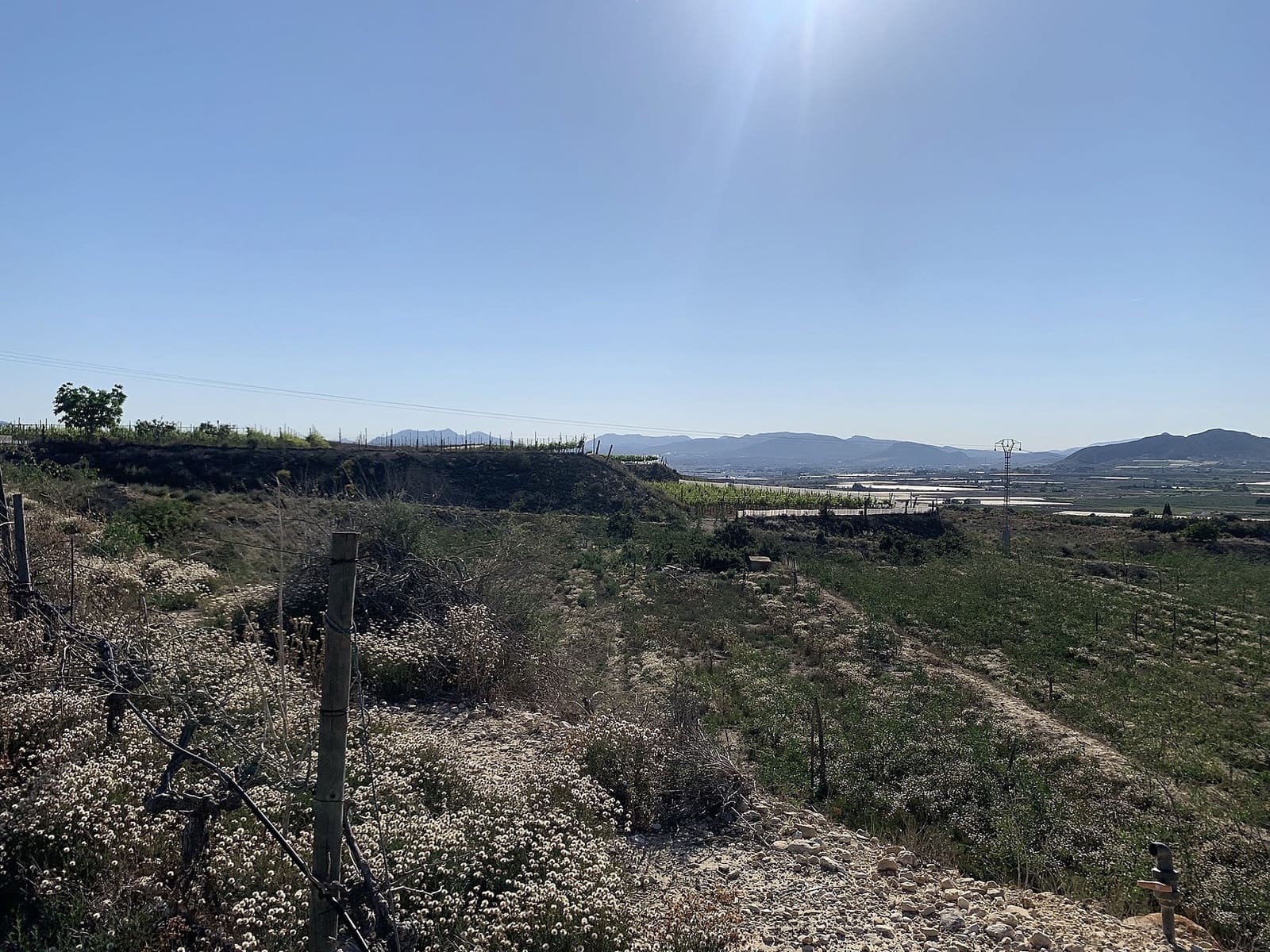 Ubebygd land til salgs i Monforte del Cid - € 65 000 (Ref: 9794016)