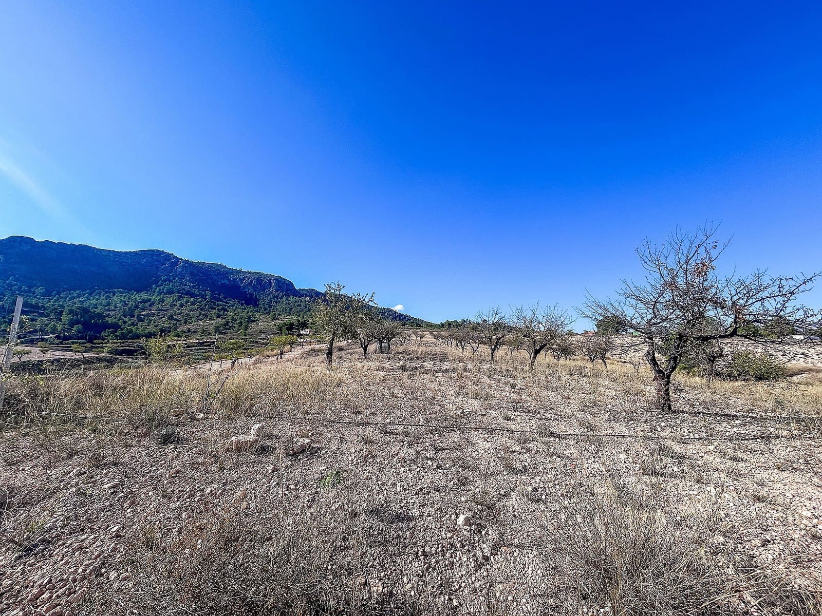 2 quarto Quinta/Casa Rural para venda em Elda com garagem - 150 000 € (Ref: 9794024)