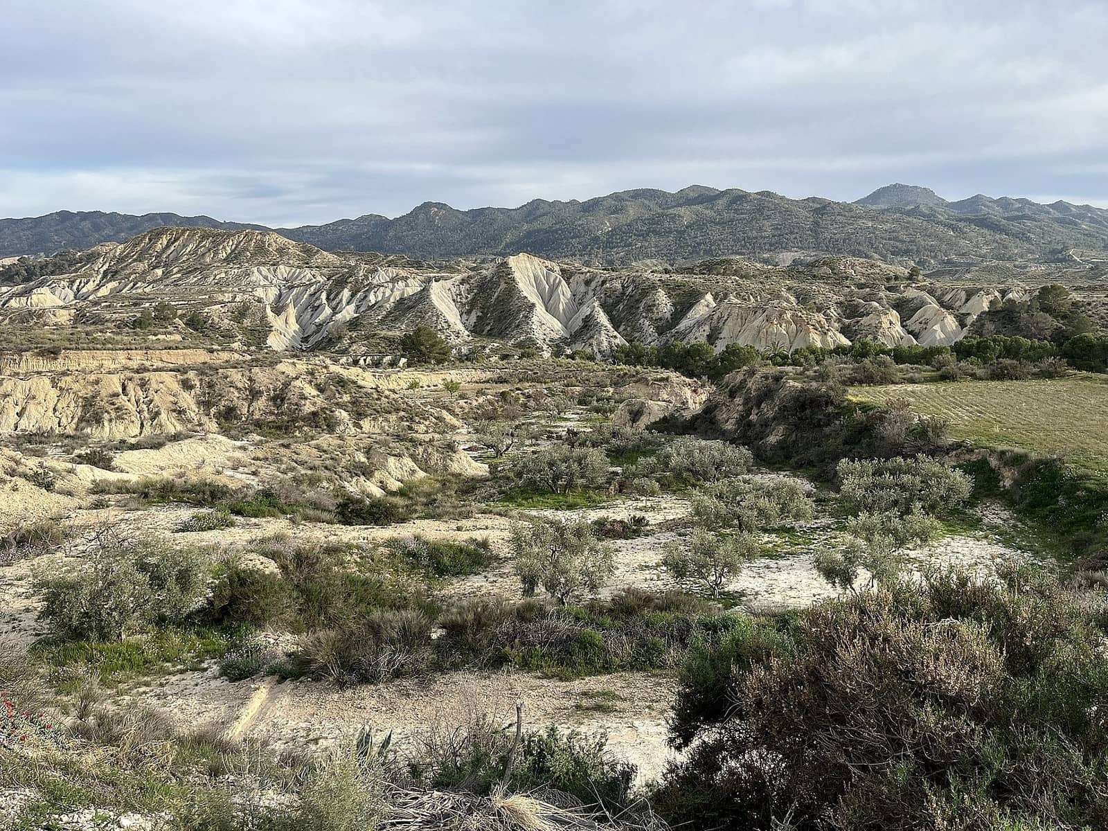 4 slaapkamer Grotwoning te koop in Abanilla met garage - € 145.000 (Ref: 9794029)