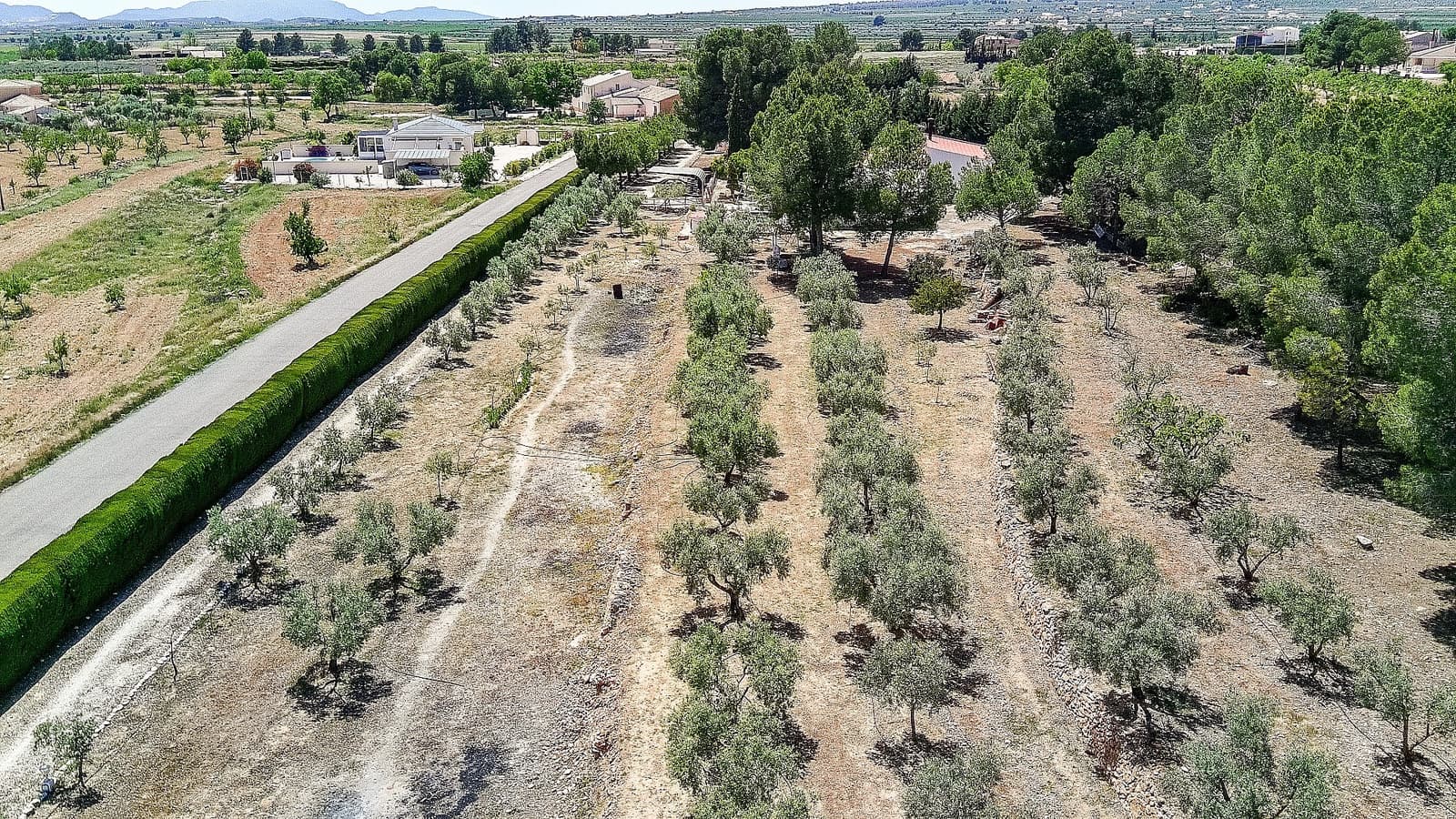 6 chambre Finca/Maison de Campagne à vendre à Pinoso avec piscine garage - 367 000 € (Ref: 9805968)