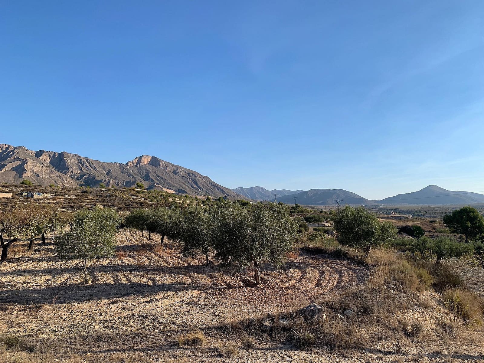 Terreno/Finca Rústica en Macisvenda en venta - 31.000 € (Ref: 9805979)