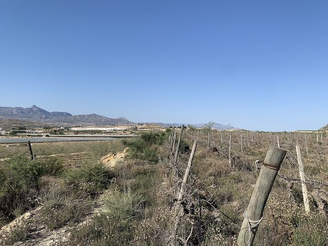 Mark till salu i Monforte del Cid - 65 000 € (Ref: 9806015)