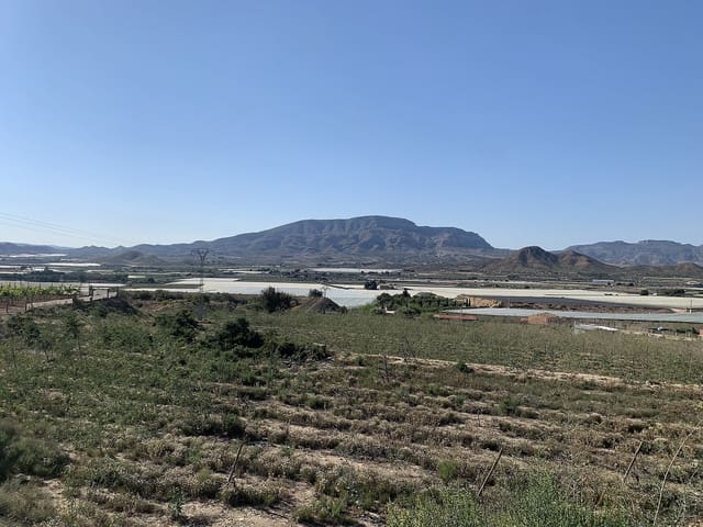 Mark till salu i Monforte del Cid - 65 000 € (Ref: 9806015)