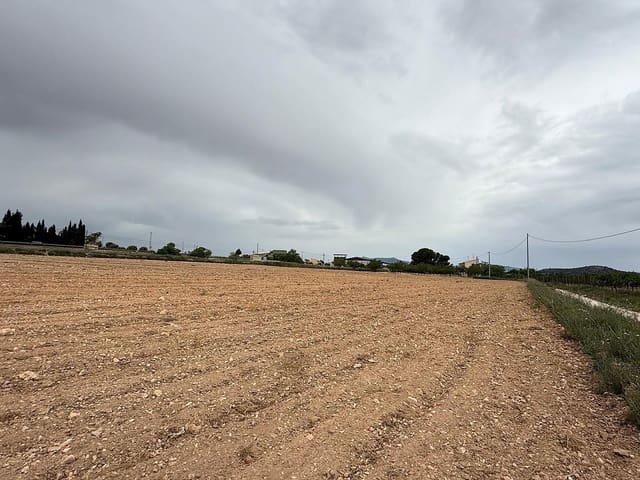 Terreno Non Edificato in vendita in Culebron, Pinoso - 99.000 € (Rif: 9806031)