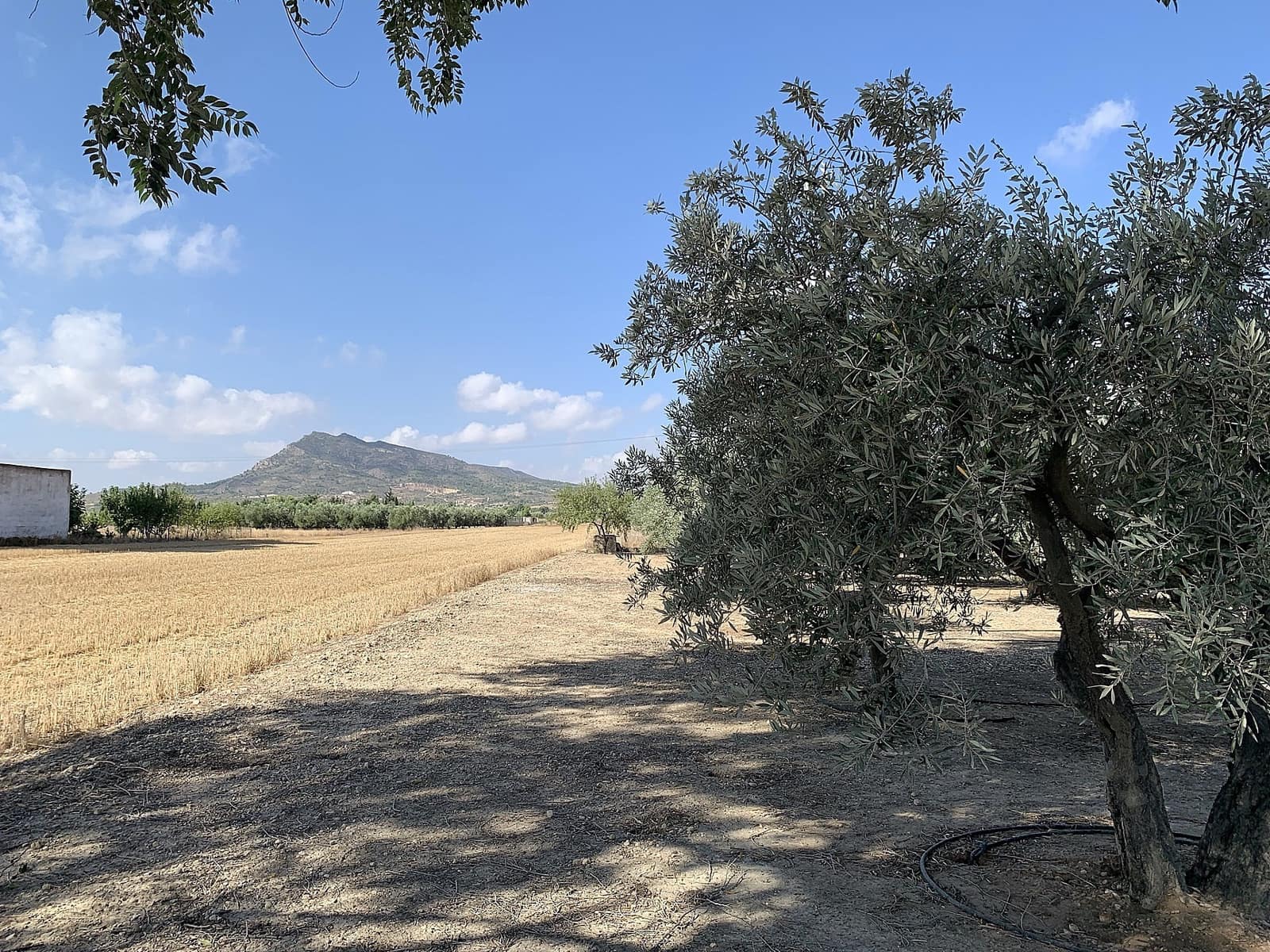 Finca/Maison de Campagne à vendre à Caudete - 44 950 € (Ref: 9807575)