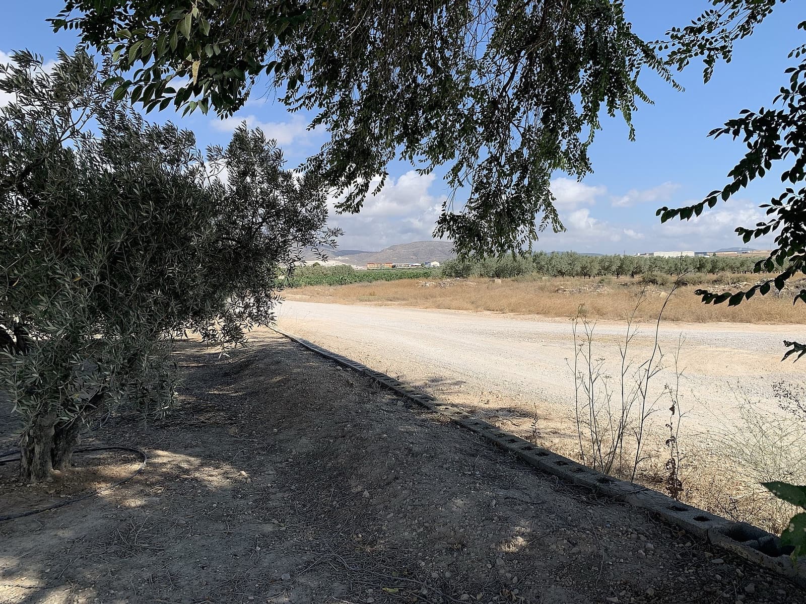 Finca/Maison de Campagne à vendre à Caudete - 44 950 € (Ref: 9807575)