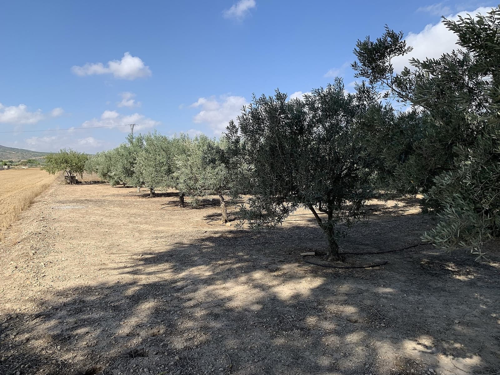 Finca/Maison de Campagne à vendre à Caudete - 44 950 € (Ref: 9807575)