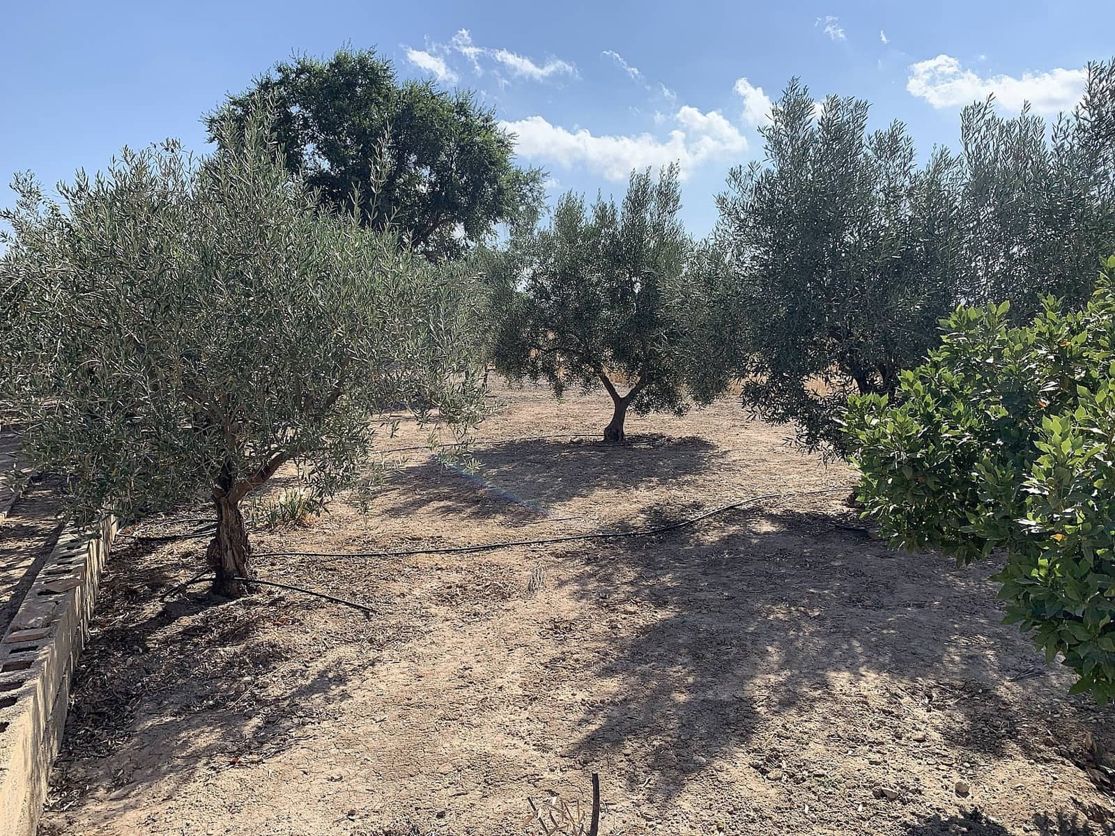 Finca/Maison de Campagne à vendre à Caudete - 44 950 € (Ref: 9807575)