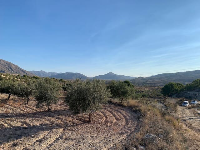 Undeveloped Land for sale in Macisvenda, Abanilla - € 31,000 (Ref: 9807579)