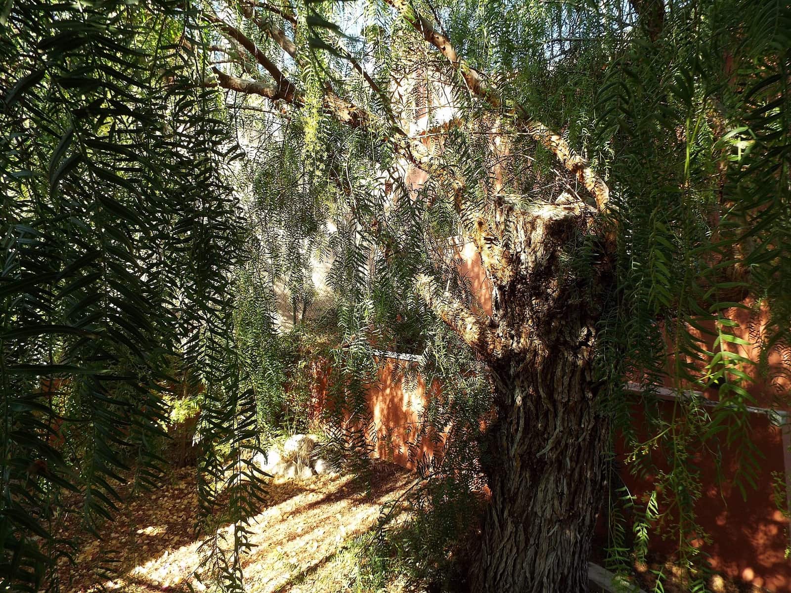 12 sypialnia Finka/Dom wiejski na sprzedaż w Mahoya z basenem garażem - 250 000 € (Ref: 9807580)