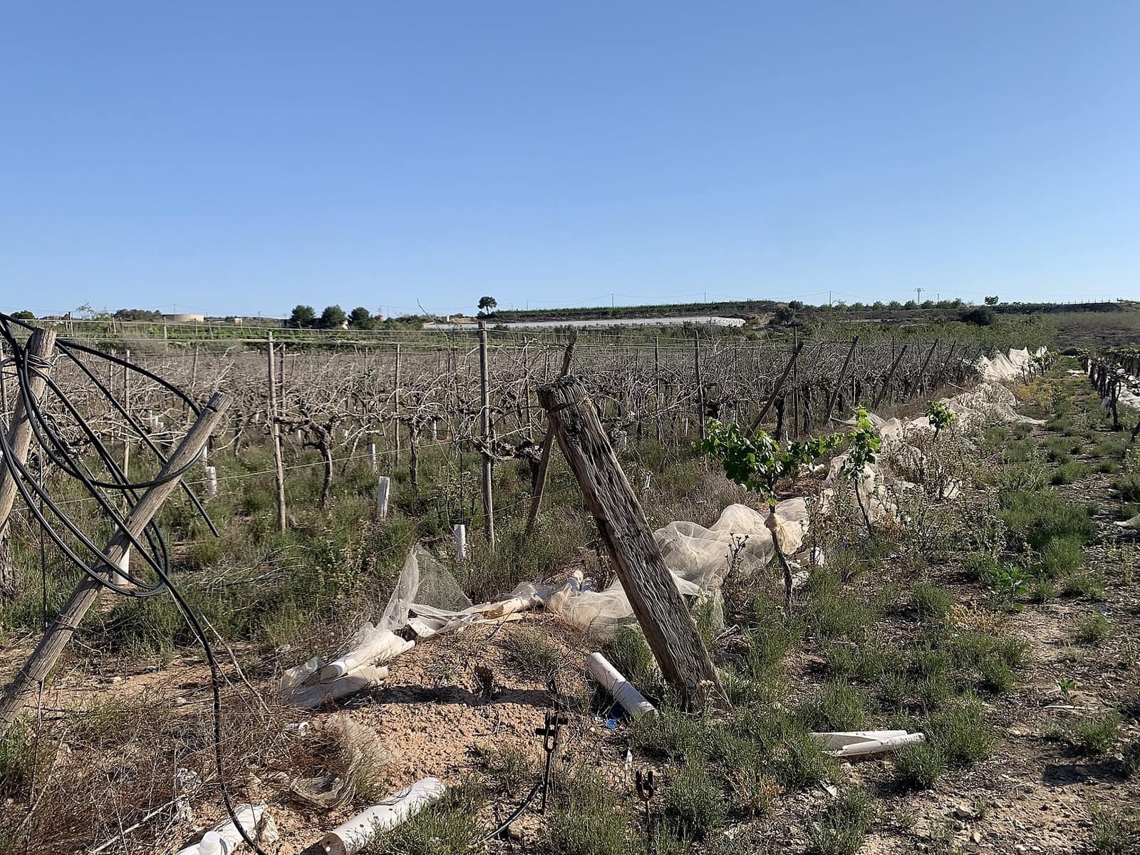 Terreno/Finca Rústica en Monforte del Cid en venta - 80.000 € (Ref: 9807611)