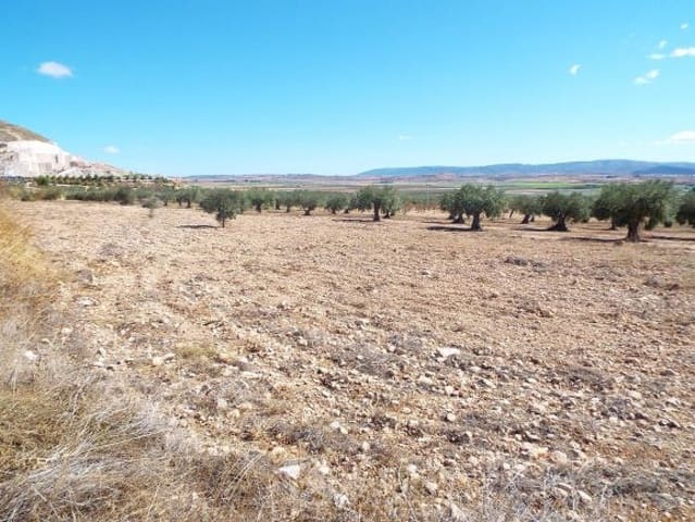 Landgrundstück zu verkaufen in Caudete - 24.000 € (Ref: 9813639)