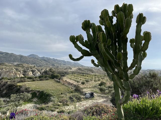 4 bedroom Cave House for sale in Abanilla - € 145,000 (Ref: 9814188)