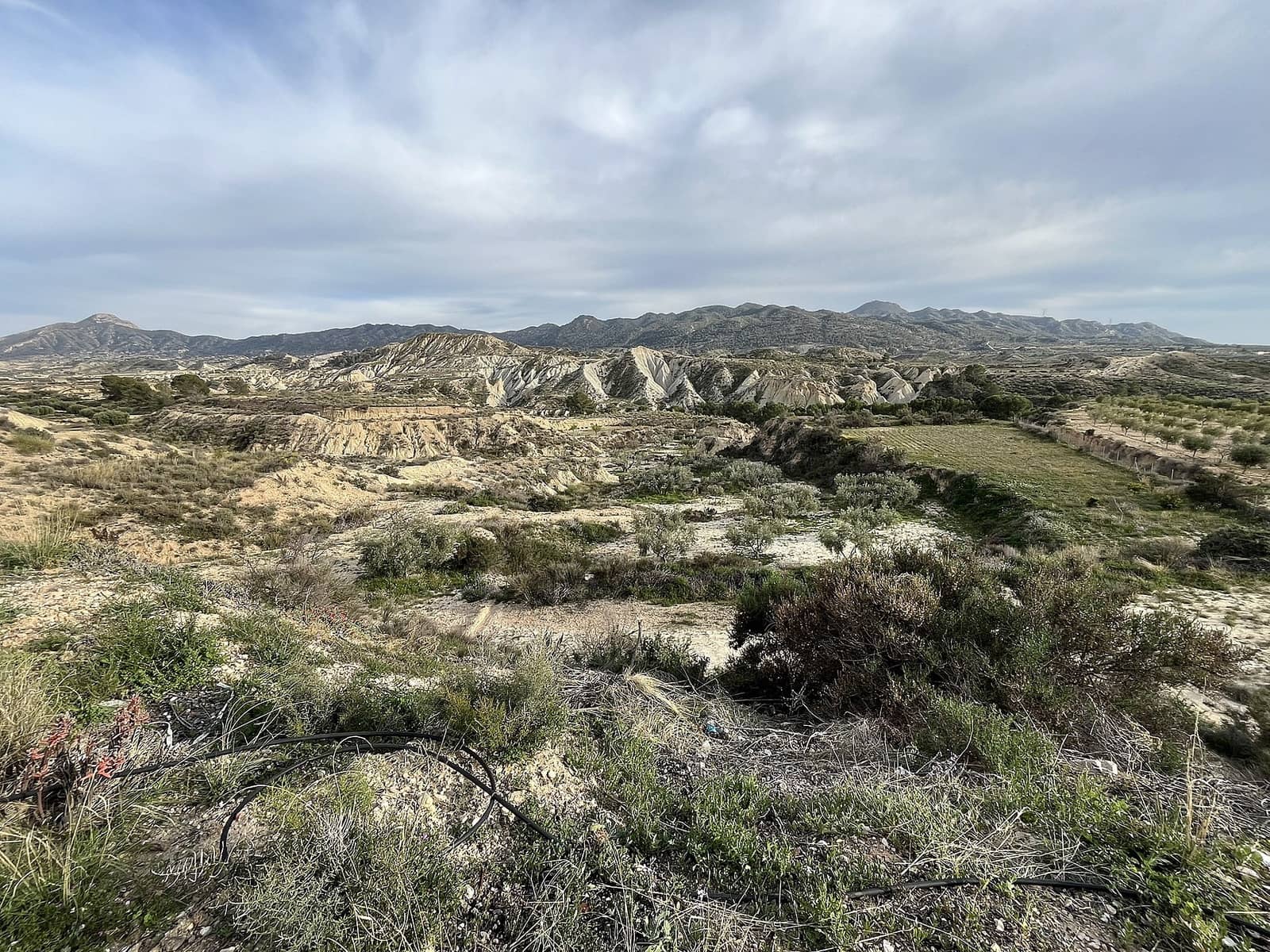 4 bedroom Cave House for sale in Abanilla - € 145,000 (Ref: 9814188)