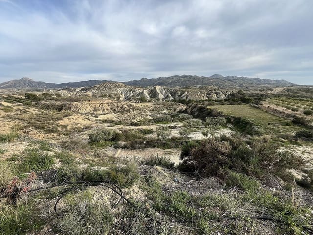 4 bedroom Cave House for sale in Abanilla - € 145,000 (Ref: 9814188)