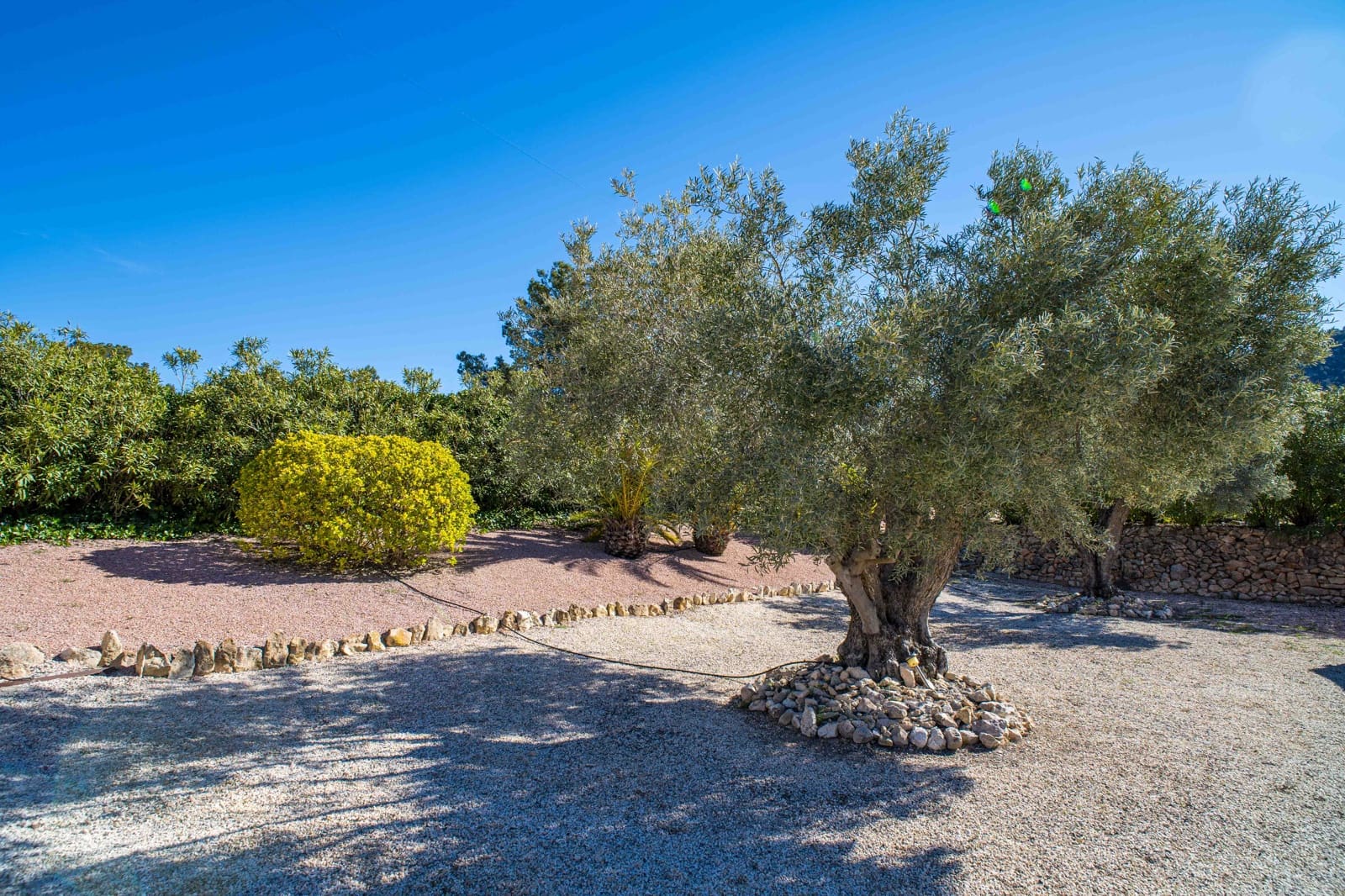 3 chambre Villa/Maison à vendre à La Zarza - 395 000 € (Ref: 9814193)
