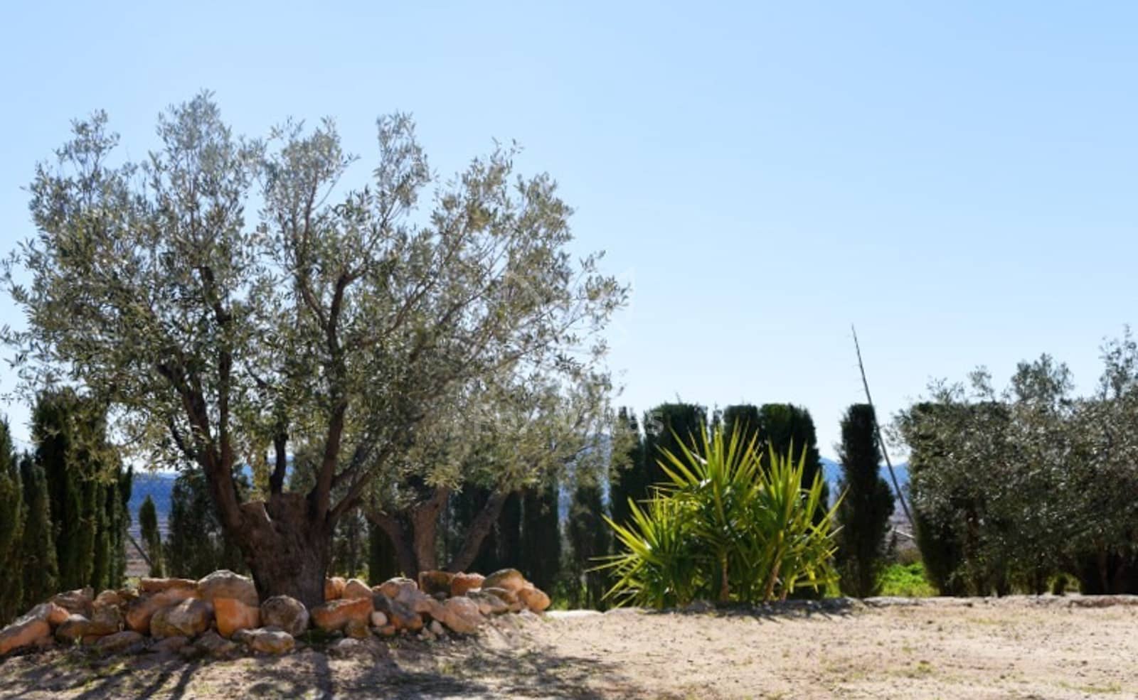 4 bedroom Finca/Country House for sale in Murcia city - € 197,000 (Ref: 9815445)