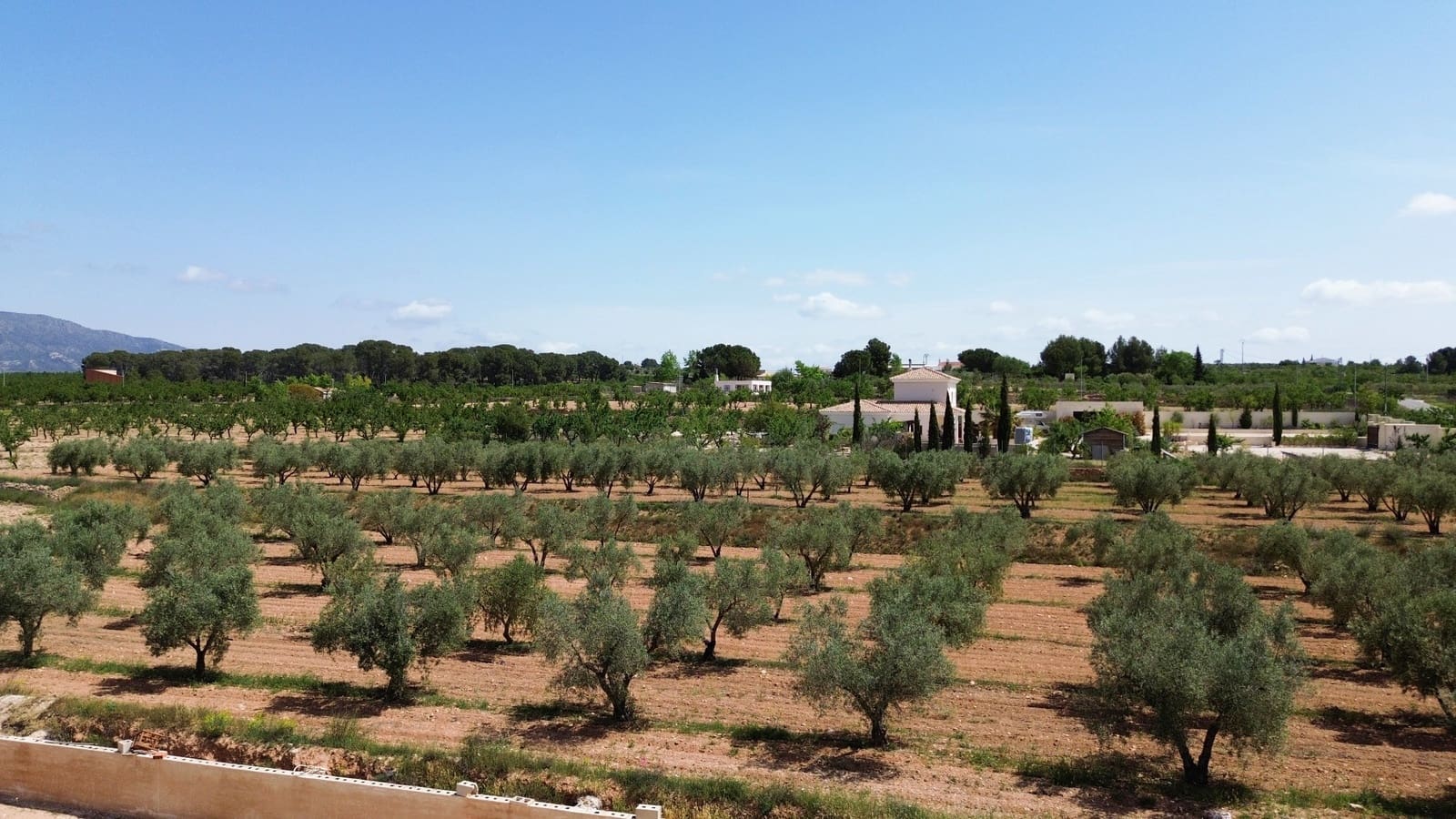 4 bedroom Villa for sale in Pinoso - € 420,000 (Ref: 9816946)