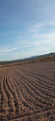 Grunde uden byggetilladelser til salg i Salinas - € 99.999 (Ref: 9830568)