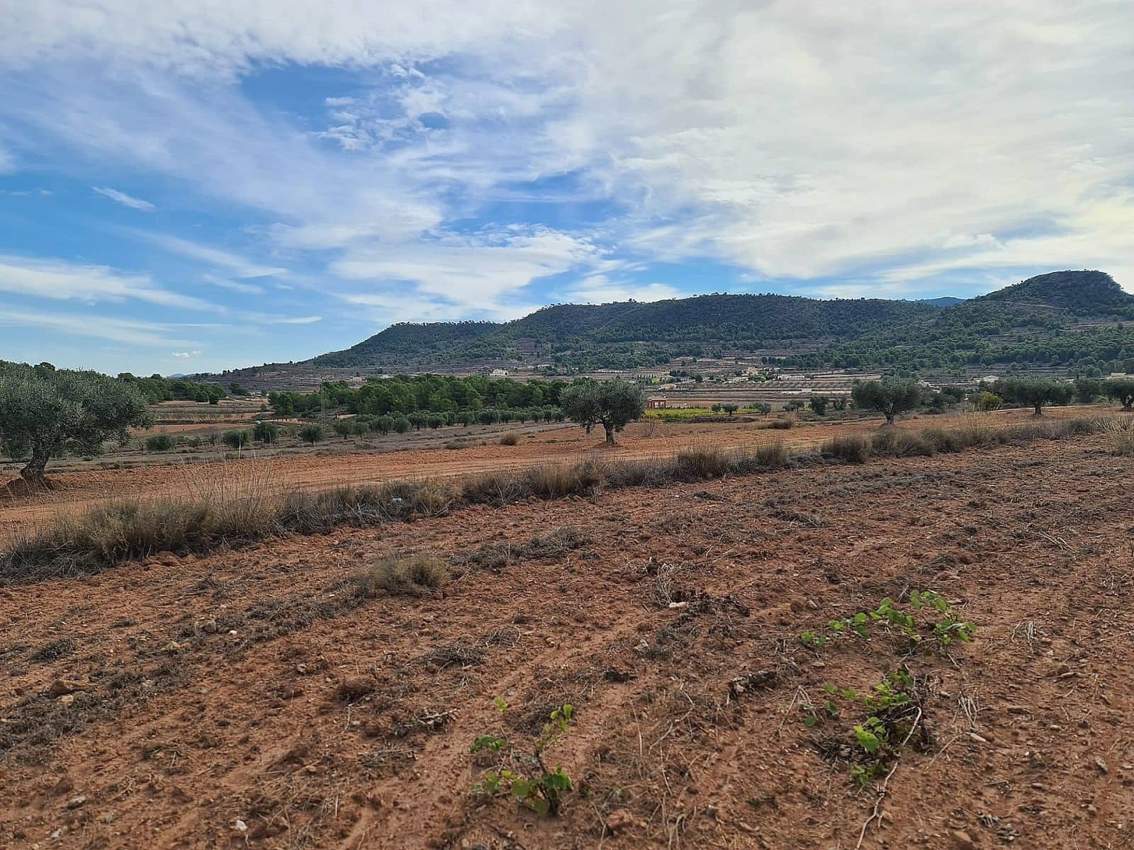 Terreno/Finca Rústica en Pinoso en venta - 35.000 € (Ref: 9830569)