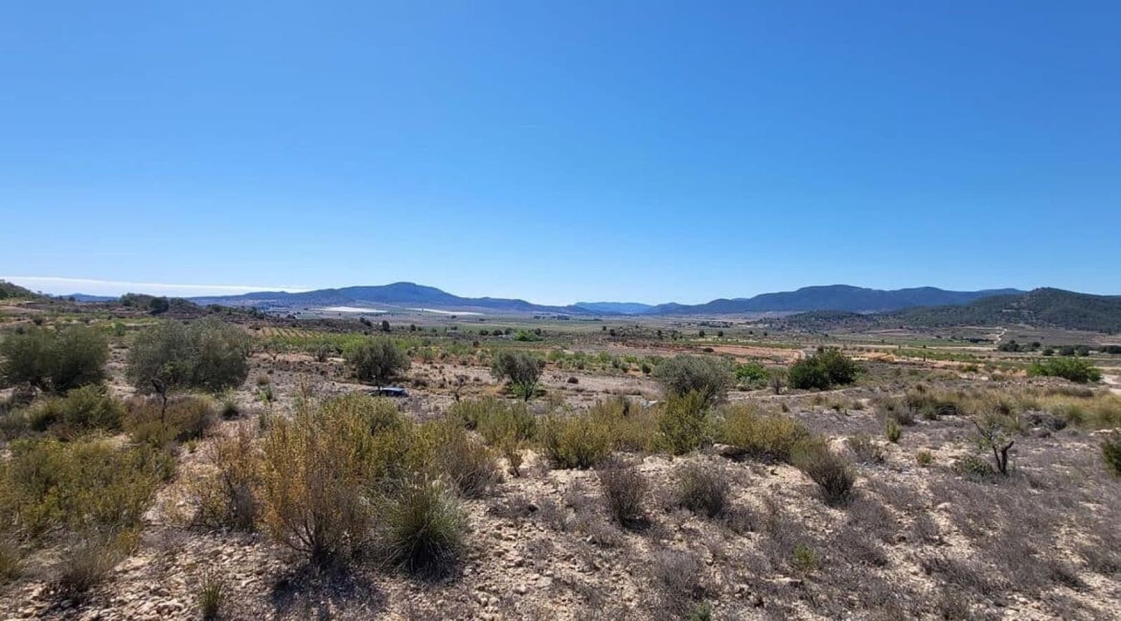 Terreno Não Urbanizado para venda em Monovar / Monover - 35 000 € (Ref: 9830570)