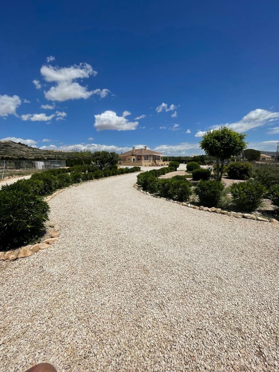 4 bedroom Villa for sale in Pinoso - € 425,000 (Ref: 9833189)