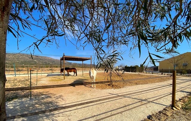 4 bedroom Villa for sale in Lel, Pinoso - € 390,000 (Ref: 9835129)