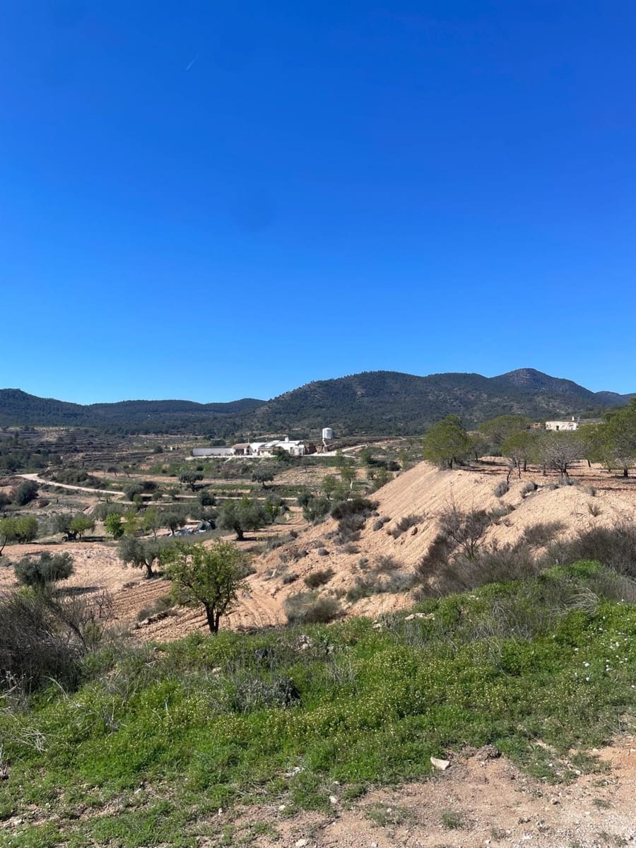Casa Cueva de 3 habitaciones en Pinoso en venta - 135.995 € (Ref: 9838844)