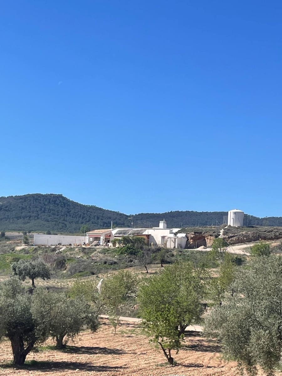 Casa Cueva de 3 habitaciones en Pinoso en venta - 135.995 € (Ref: 9838844)