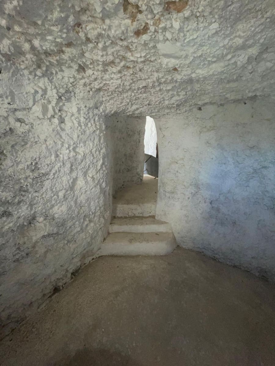 Casa Cueva de 3 habitaciones en Pinoso en venta - 135.995 € (Ref: 9838844)