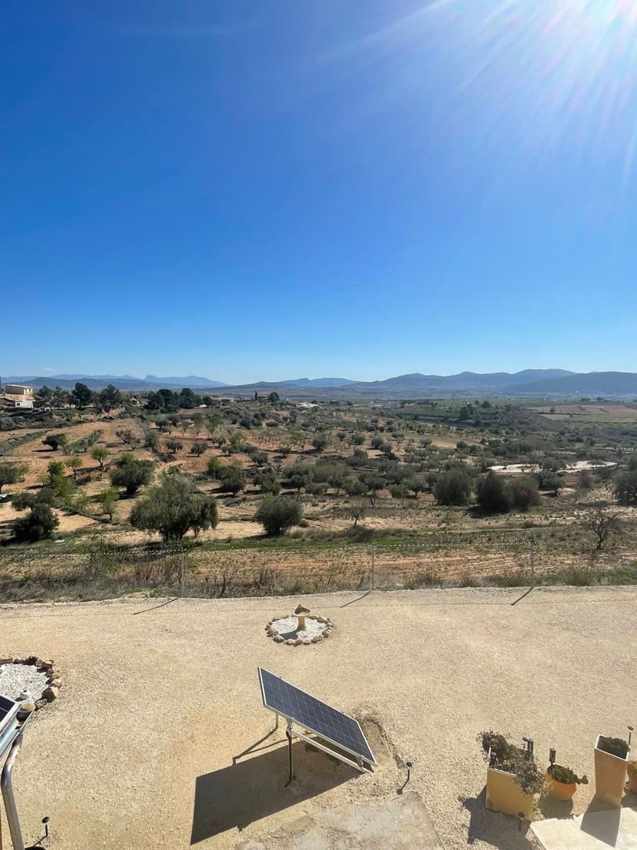 Casa Cueva de 3 habitaciones en Pinoso en venta - 135.995 € (Ref: 9838844)