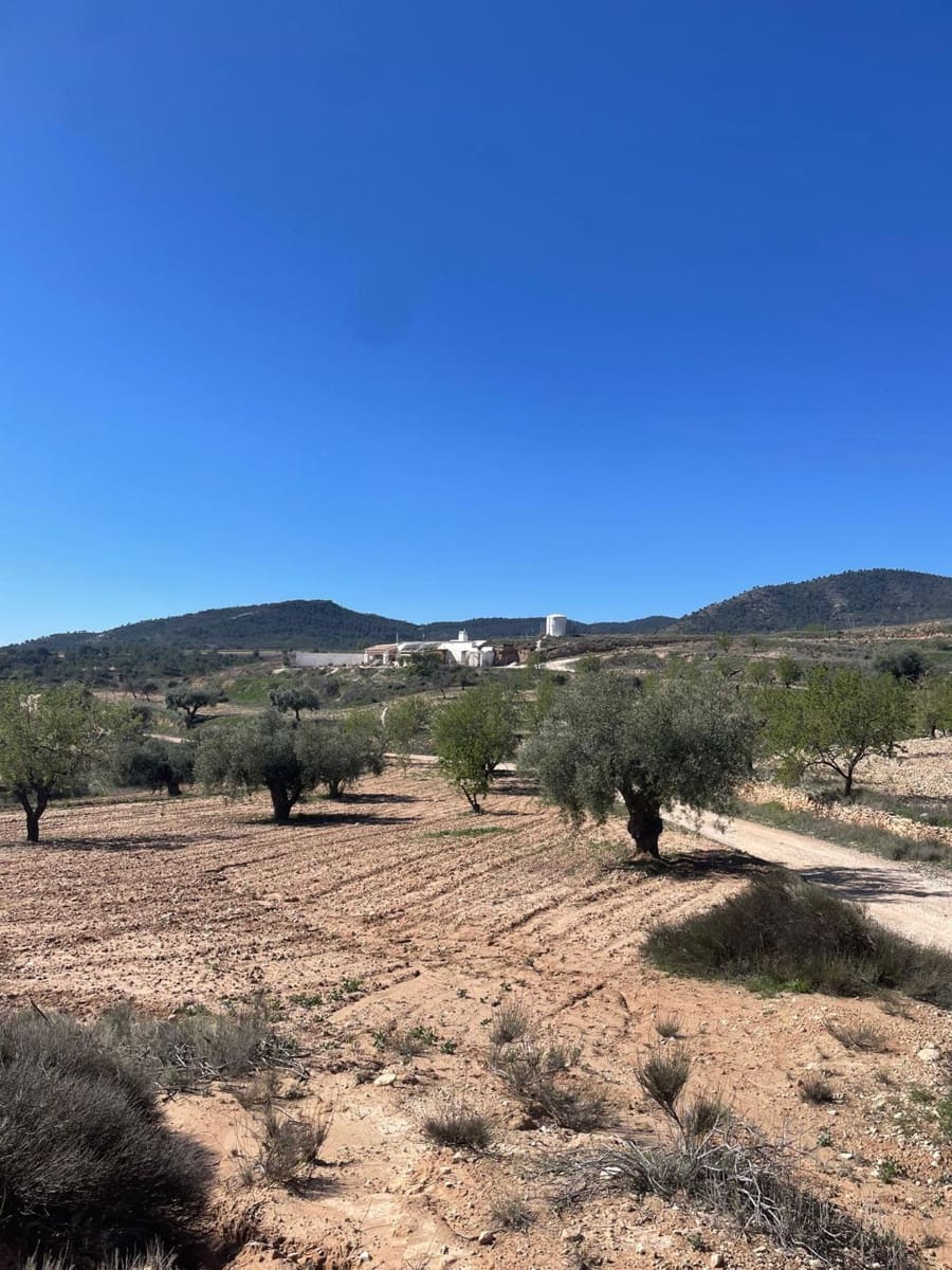 Casa Cueva de 3 habitaciones en Pinoso en venta - 135.995 € (Ref: 9838844)