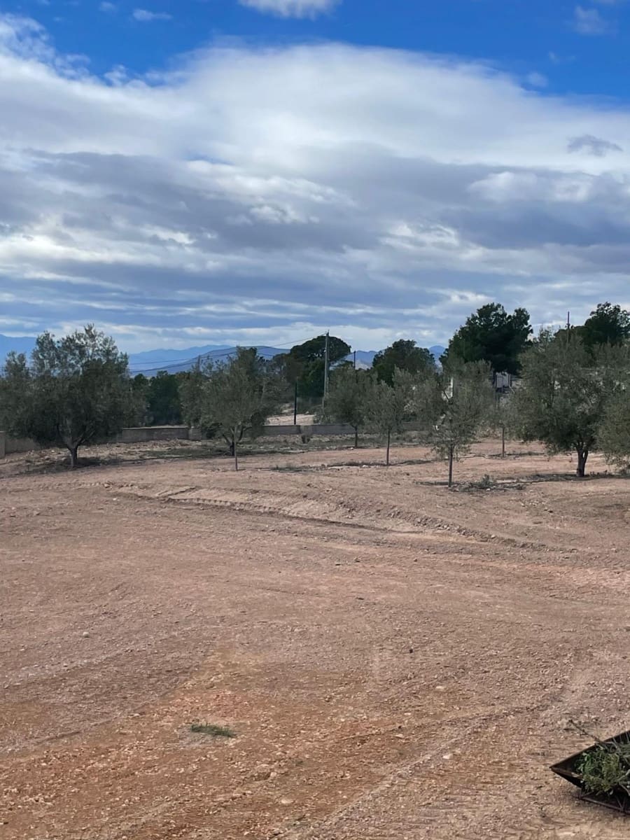 4 soveværelse Finca/Landehus til salg i Macisvenda - € 289.000 (Ref: 9838846)