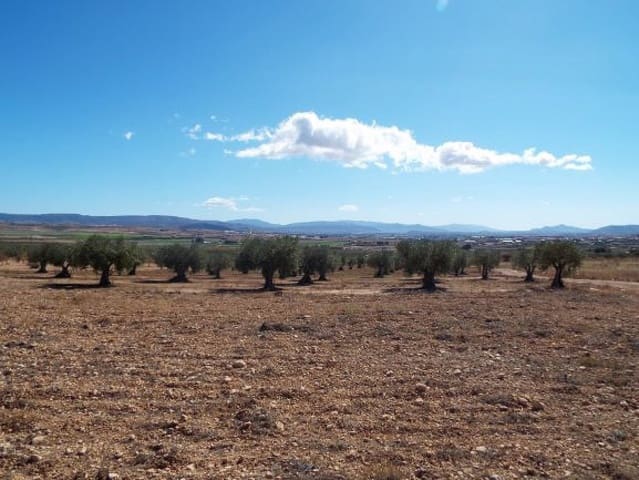 Undeveloped Land for sale in Caudete - € 24,000 (Ref: 9850873)