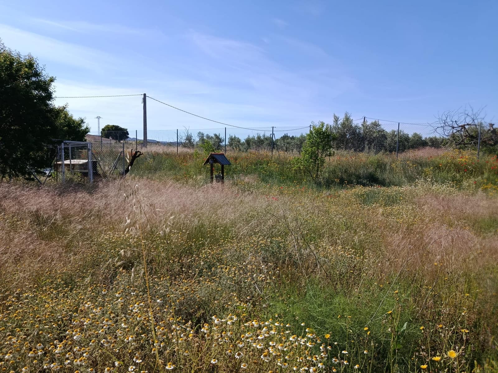 2 soveværelse Finca/Landehus til salg i Teresa de Cofrentes - € 119.995 (Ref: 9854816)