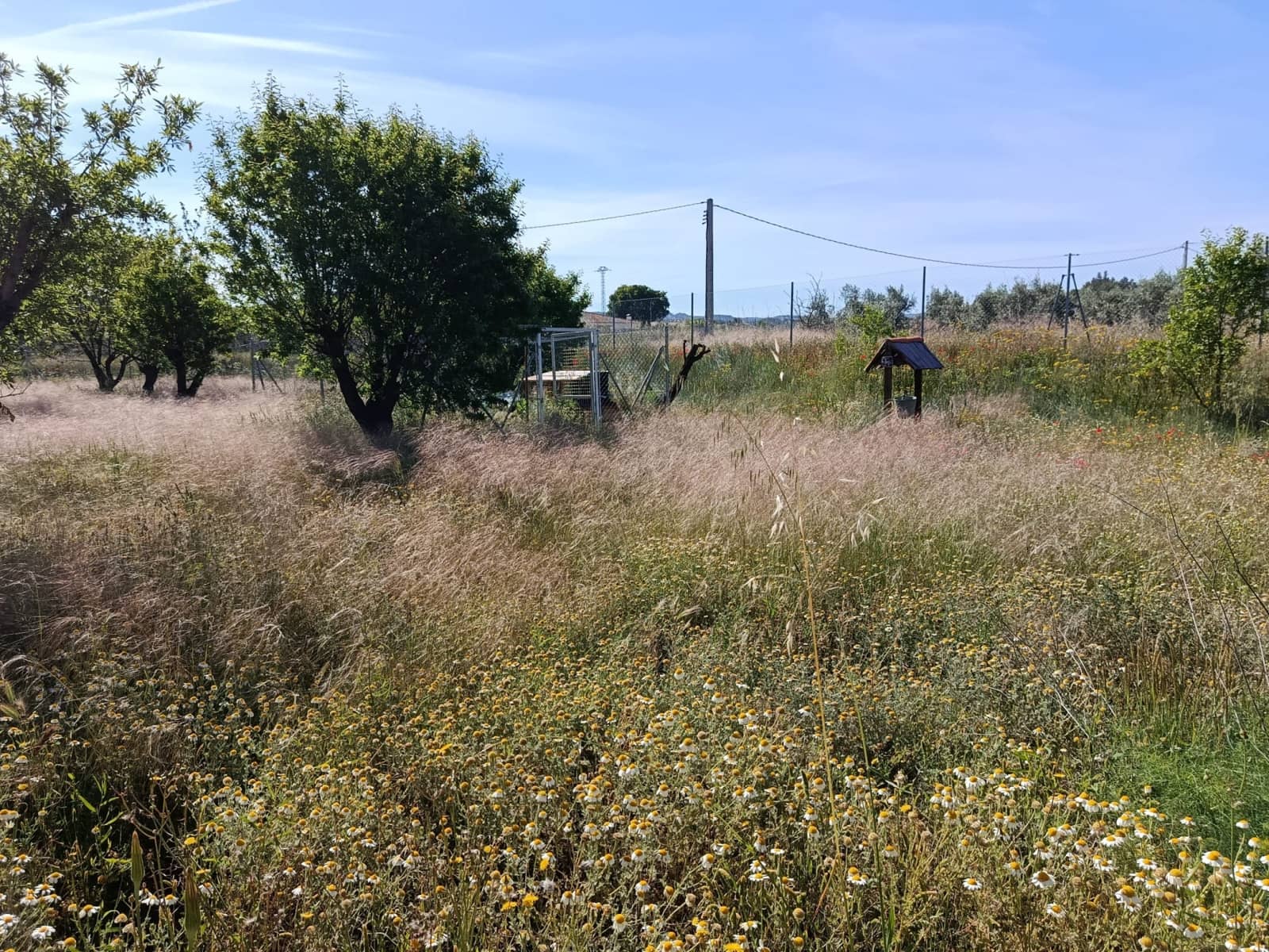 2 soveværelse Finca/Landehus til salg i Teresa de Cofrentes - € 119.995 (Ref: 9854816)