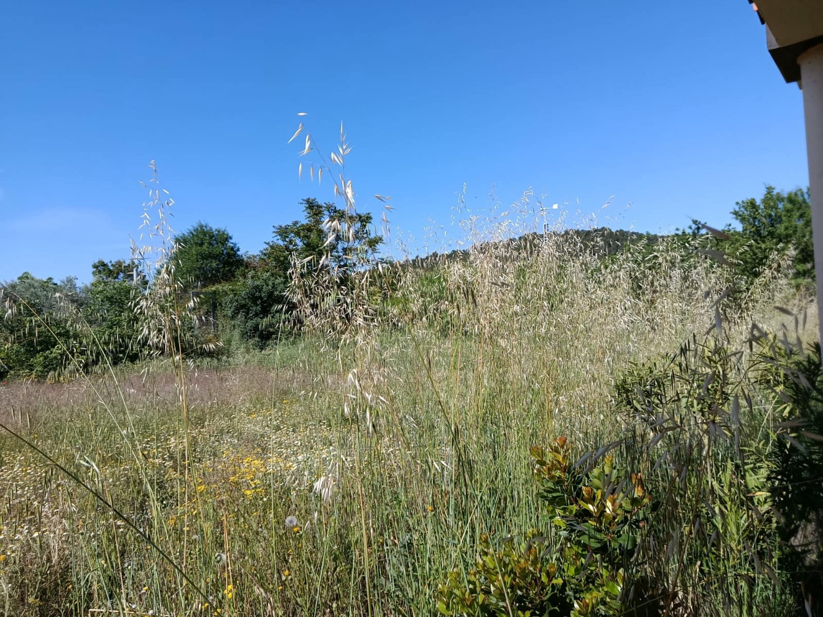 2 soveværelse Finca/Landehus til salg i Teresa de Cofrentes - € 119.995 (Ref: 9854816)