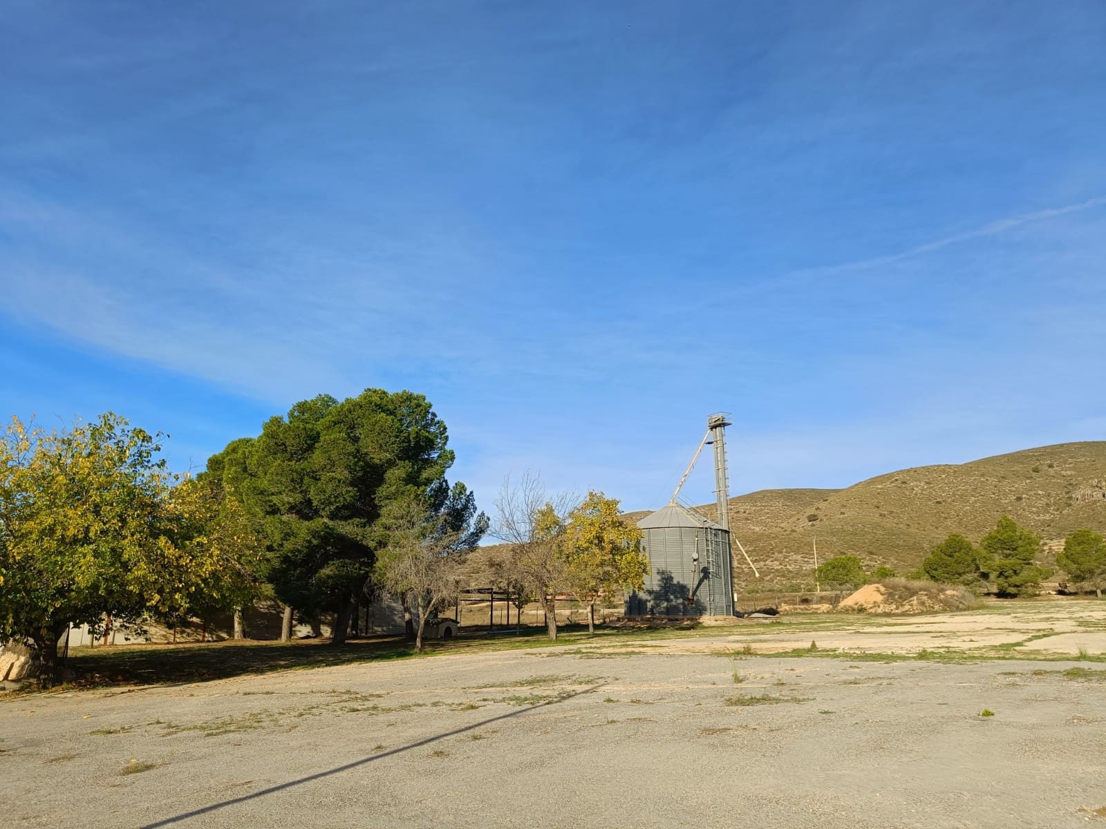 Commercieel te koop in Hondon de los Frailes - € 300.000 (Ref: 9854818)