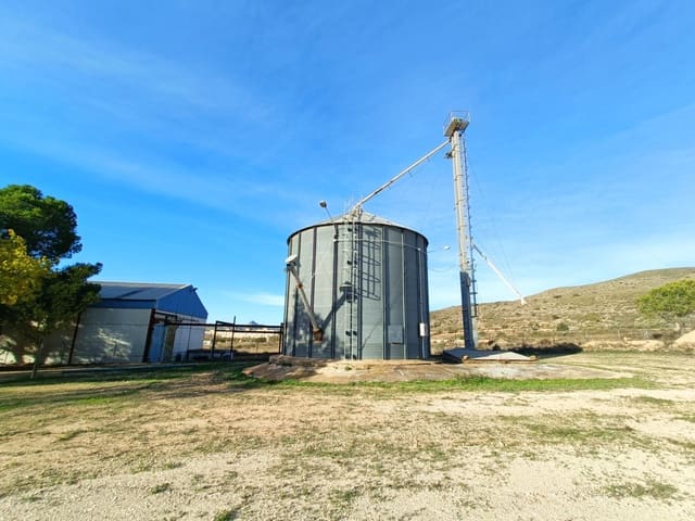 Commercieel te koop in Hondón de los Frailes - € 300.000 (Ref: 9854818)