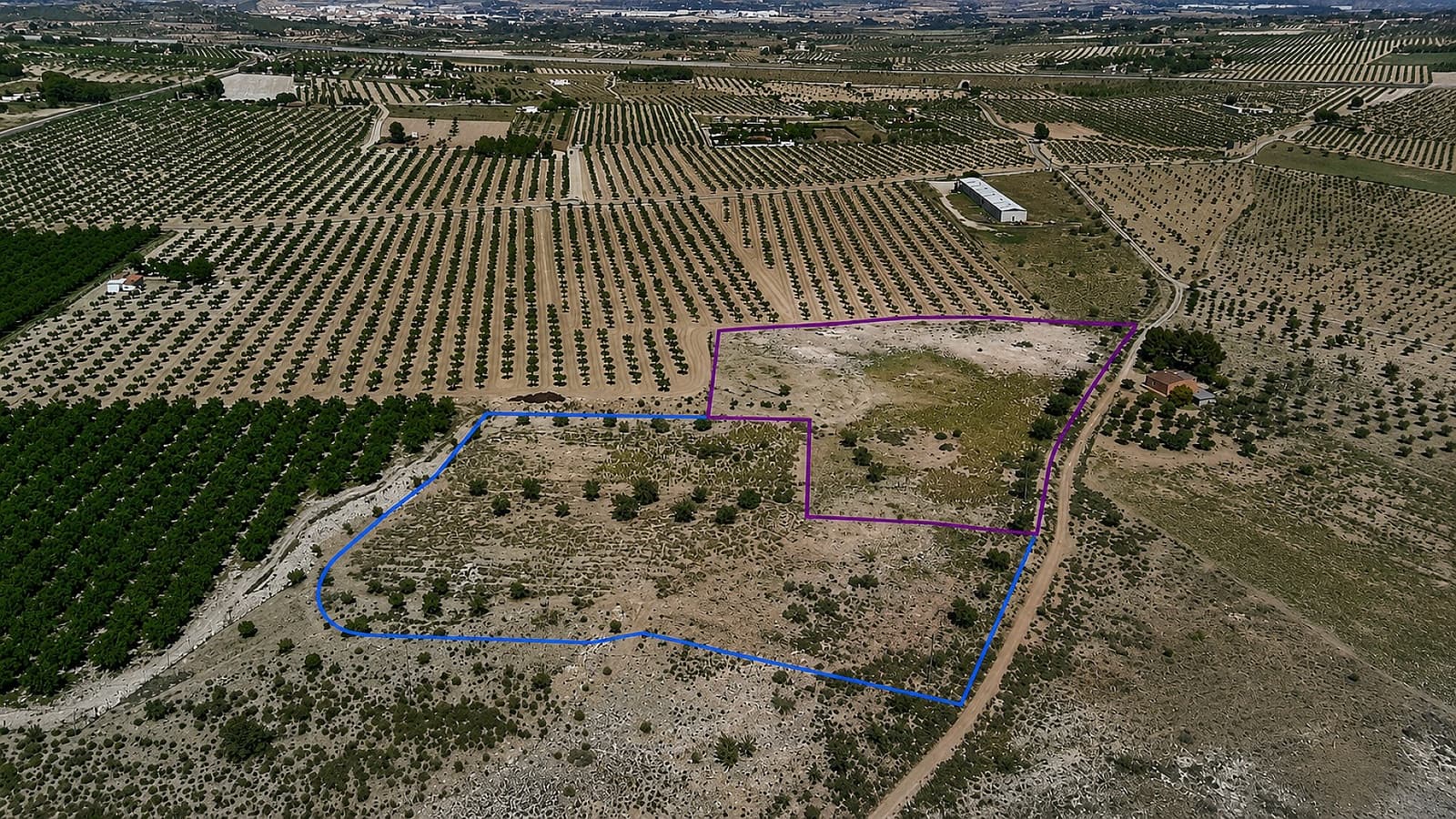 Ubebygd land til salgs i Salinas - € 75 000 (Ref: 9872907)