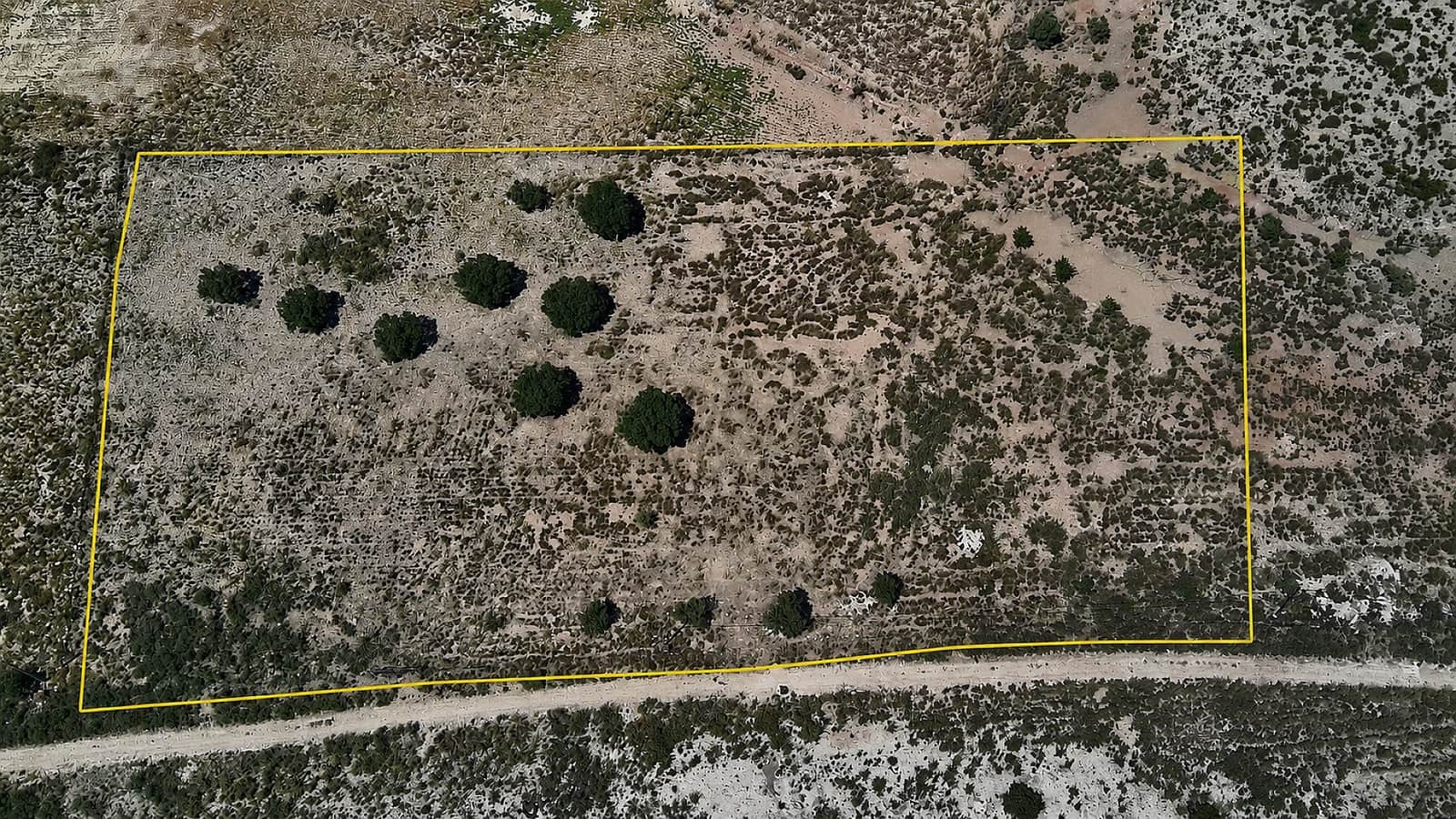Ubebygd land til salgs i Salinas - € 75 000 (Ref: 9872907)