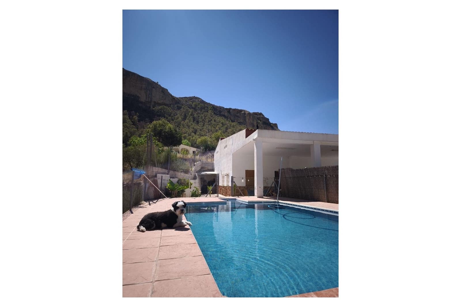 4 bedroom Finca/Country House for sale in Crevillente / Crevillent with pool - € 245,000 (Ref: 9875629)