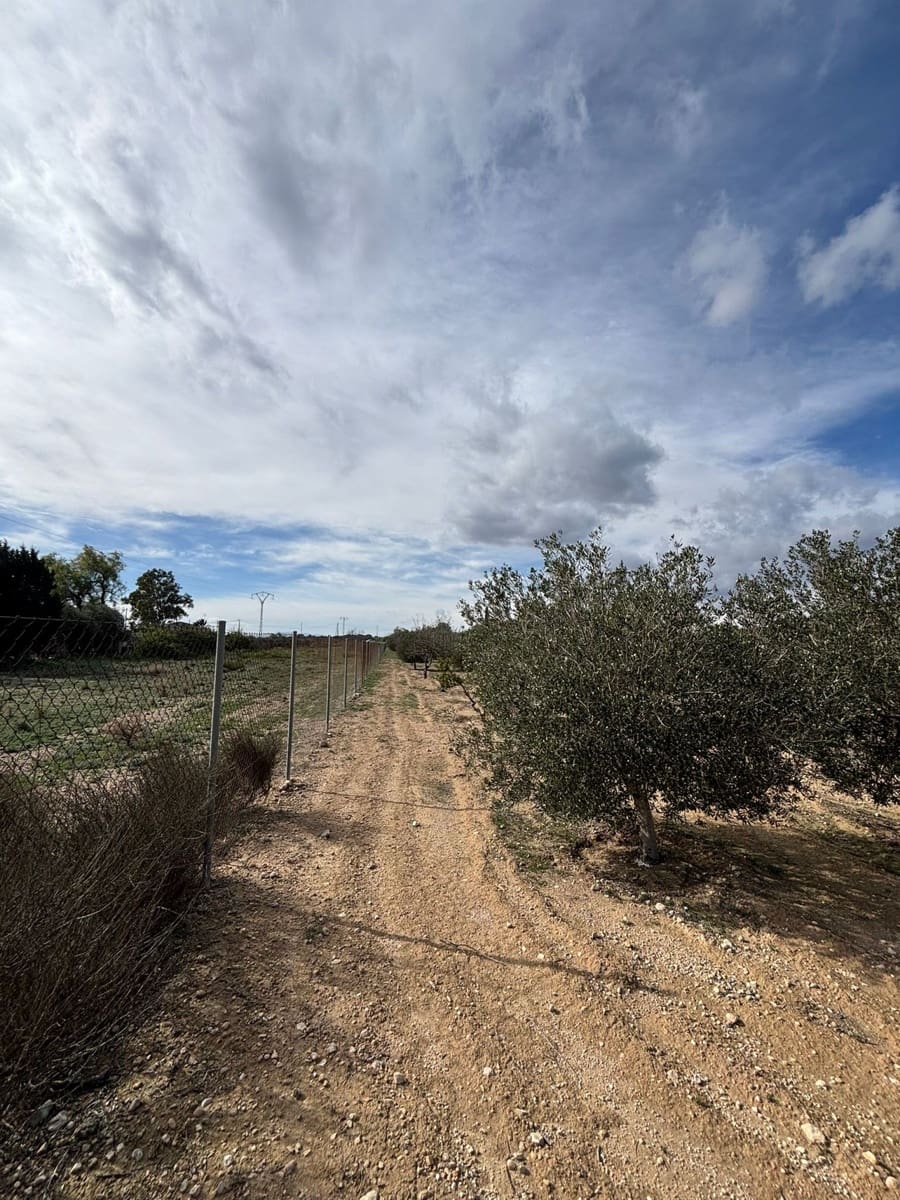 1 bedroom Wooden Home for sale in Fortuna - € 99,995 (Ref: 9877837)
