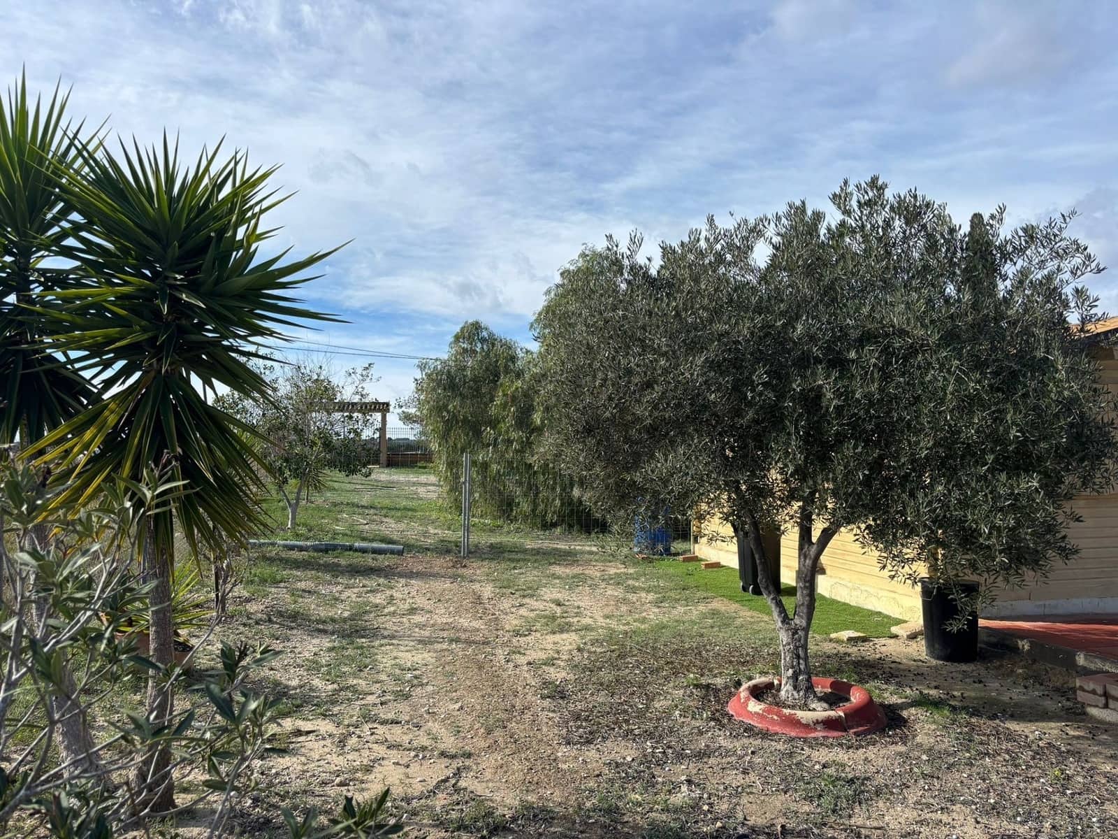 1 bedroom Wooden Home for sale in Fortuna - € 99,995 (Ref: 9877837)