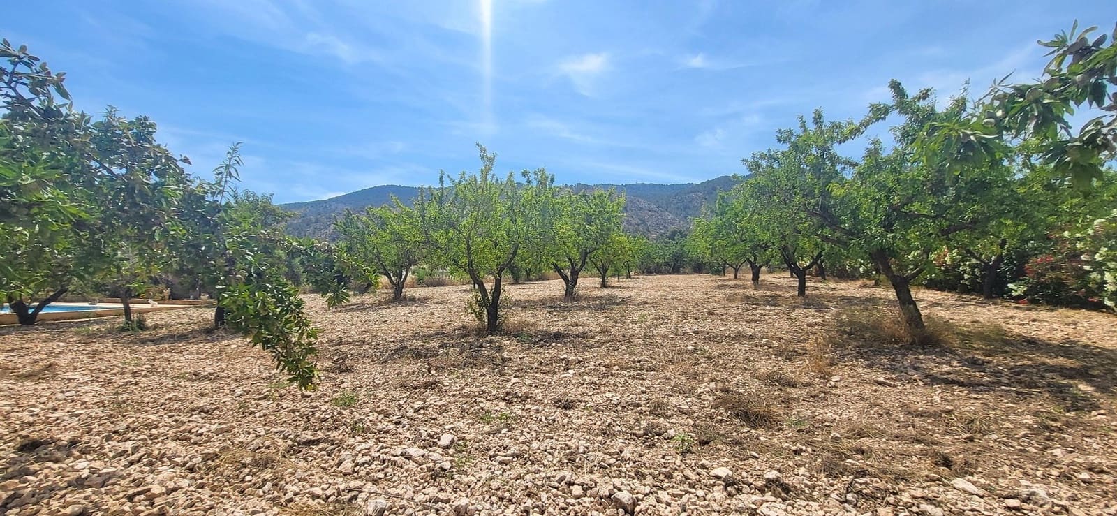 4 sypialnia Willa na sprzedaż w Hondon de las Nieves - 425 000 € (Ref: 9877866)
