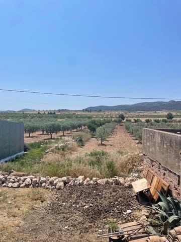 2 Zimmer Haus zu verkaufen in Jumilla - 149.995 € (Ref: 9891578)