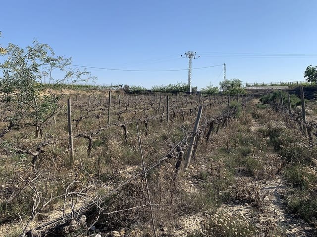 Grunde uden byggetilladelser til salg i Monforte del Cid - € 65.000 (Ref: 9891595)