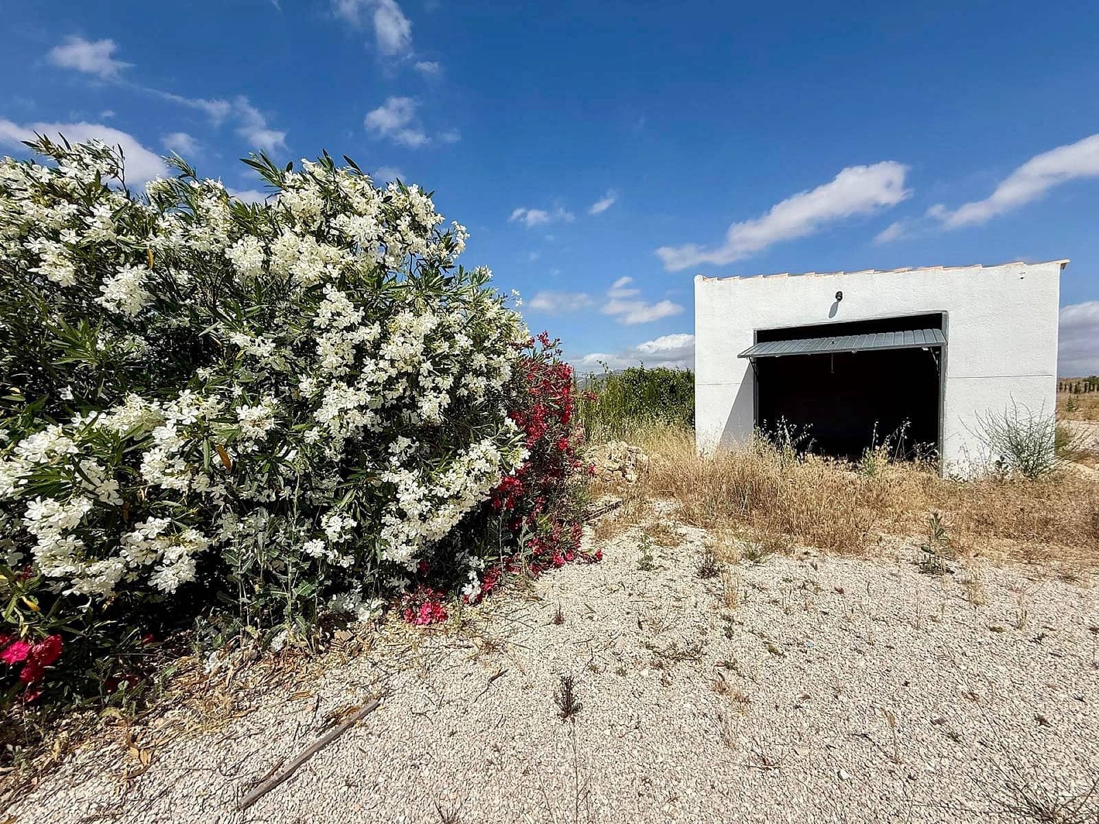 3 camera da letto Villa in vendita in Jumilla - 310.000 € (Rif: 9895711)