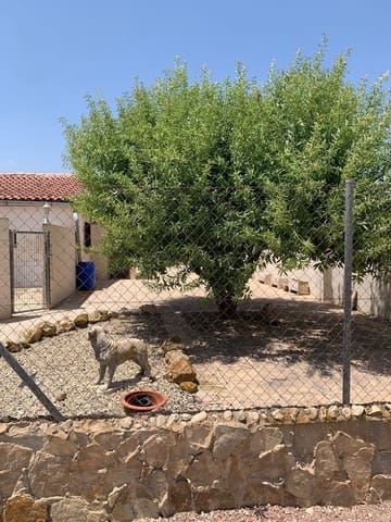 4 Zimmer Gewerbe zu verkaufen in Salinas mit Pool - 695.000 € (Ref: 9928672)